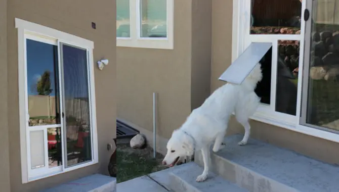 5 Easy Steps To Install A Dog Door In A Glass Door