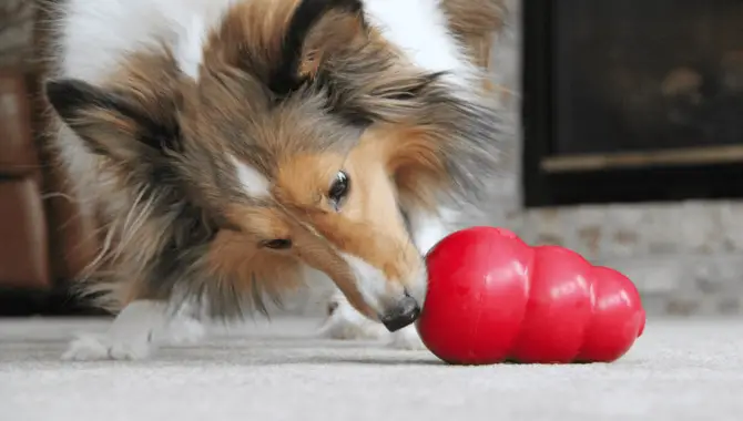 7 Easy Steps To Fill A Kong For A Puppy