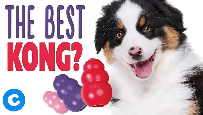 9 Best Ways To Use Kong Puppy
