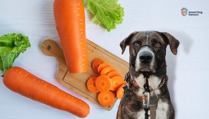 are carrots good for a standard schnauzer