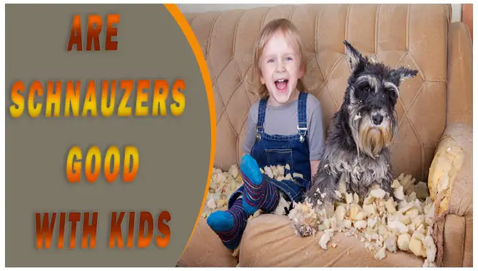 Are Schnauzers Good With Kids