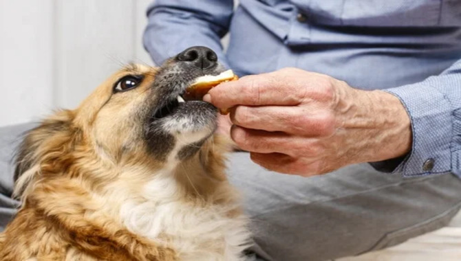 Avoid Hand-Feeding When They're Wet Or Messy