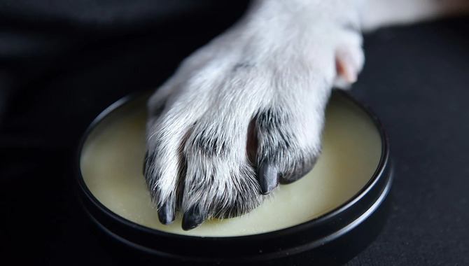 Balm The Paws