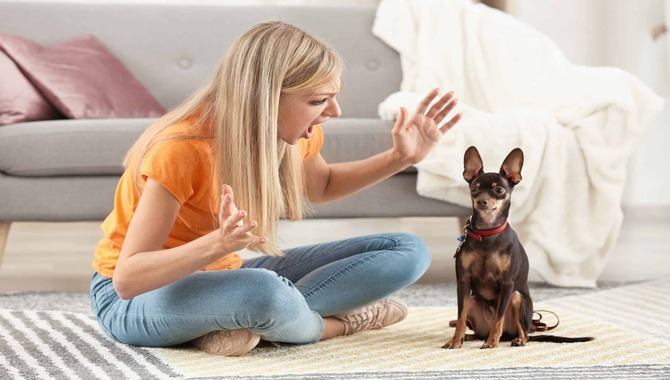 Calm Your Dog Down With A Soft Voice