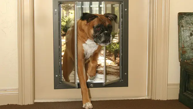 Choose A Dog Door That's The Right Size.