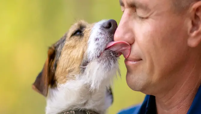Dogs Lick Humans As A Form Of Consolation.