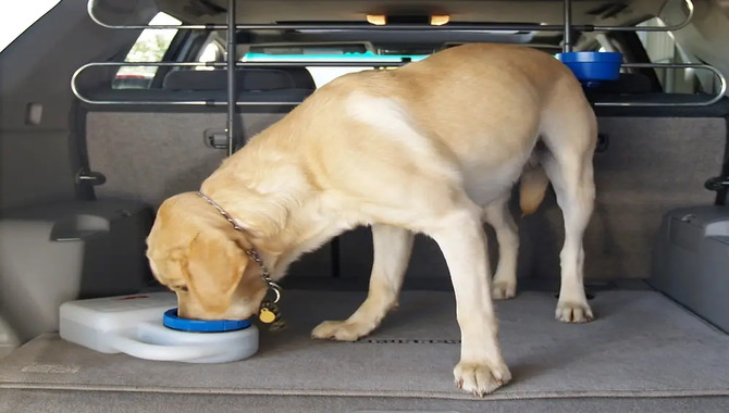 Equip Your Car With The Right Supplies