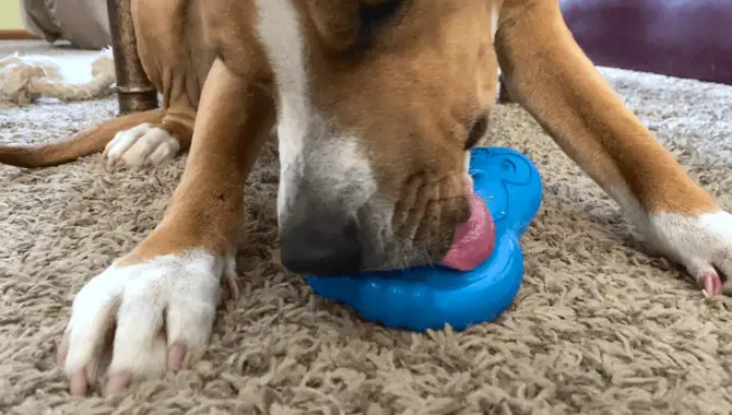 Freeze Kongs In Advance - Perfect For Busy Pups