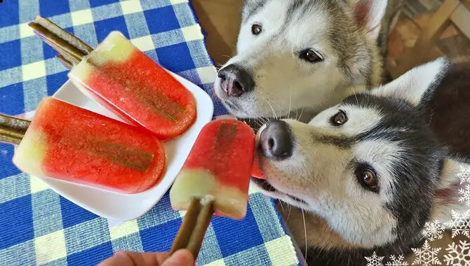 Give Your Husky Some Frozen Treats.