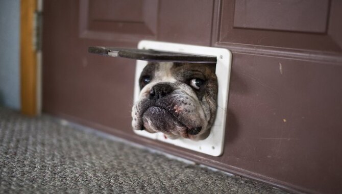 How Do You Burglarproof A Dog Door