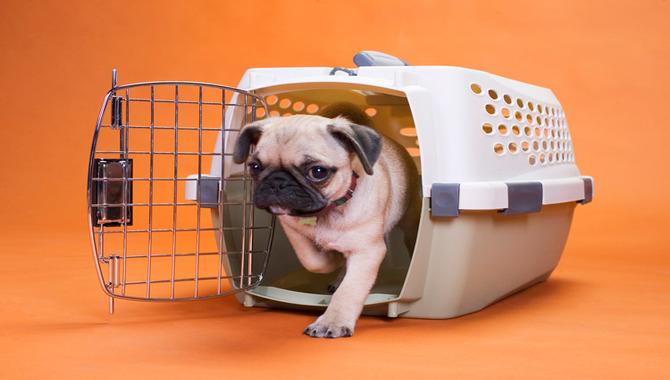 How Long To Keep Your Puppy In The Crate