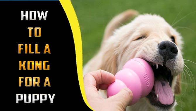 How To Fill A Kong For A Puppy