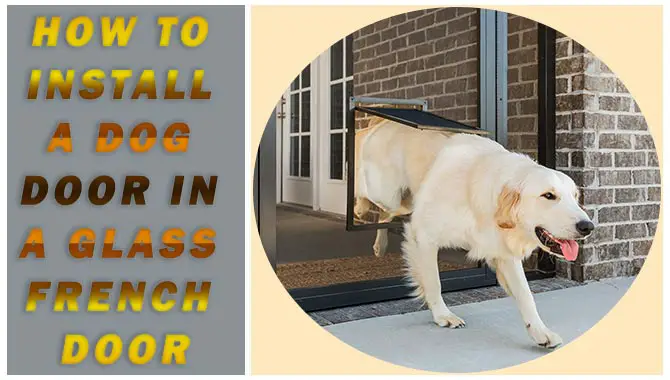 How To Install A Dog Door In A Glass French Door