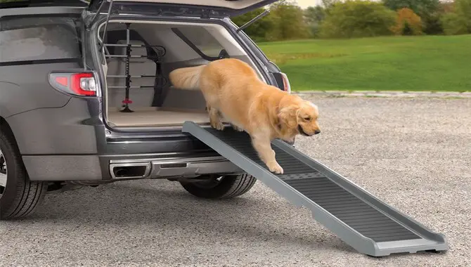 Install A Dog Ramp For Your Golden Retriever