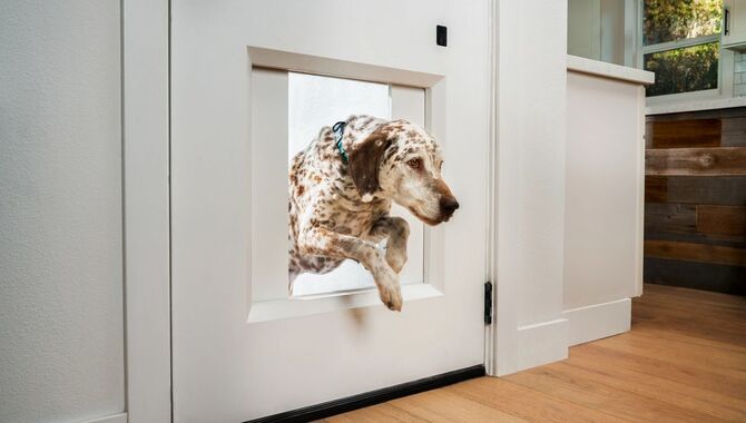 Install The Dog Door Hinges And Latch