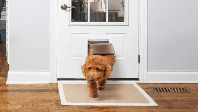 Installing A Dog Door Into A French Door That Has Multiple Glass Panes