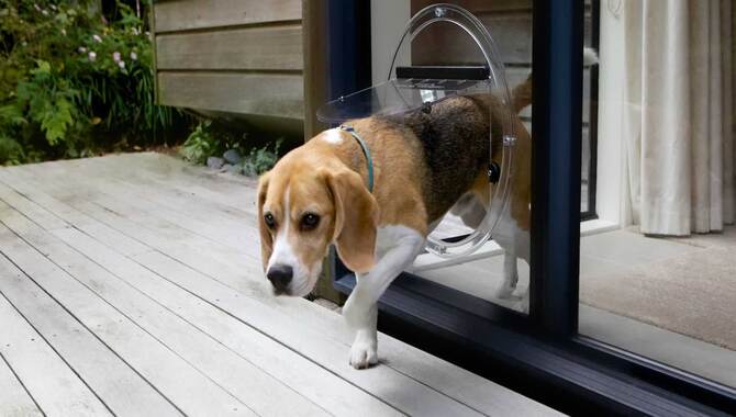 Instructions To Install A Dog Door In A Glass French Door