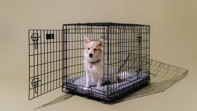 Make A Comfortable Enclosure For Your Puppy.