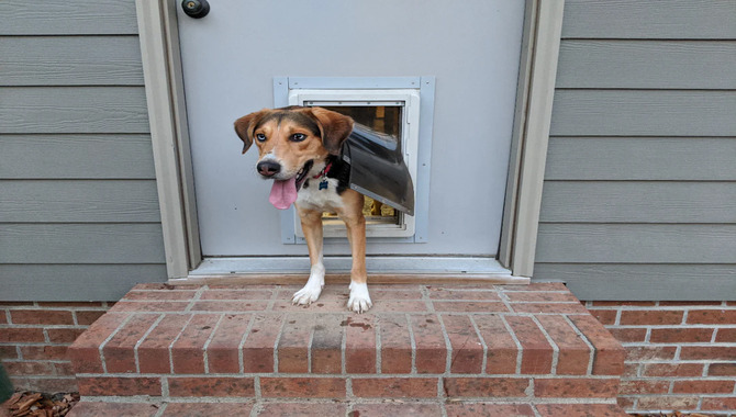 Manual Pet Doors