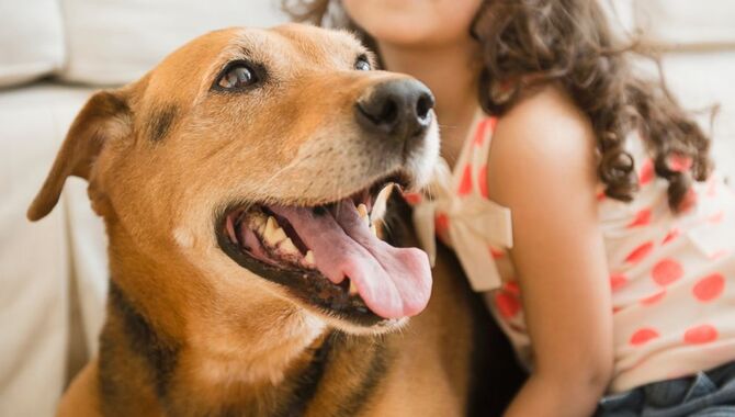 Oxytocin - The Hormone That Makes Dogs Love You