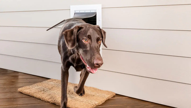 Pet Door Mount Type