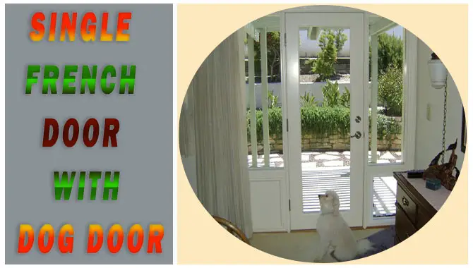 Single French Door With Dog Door