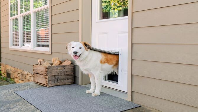 Spring-Loaded Pet Doors