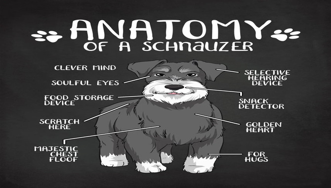 are carrots good for a standard schnauzer