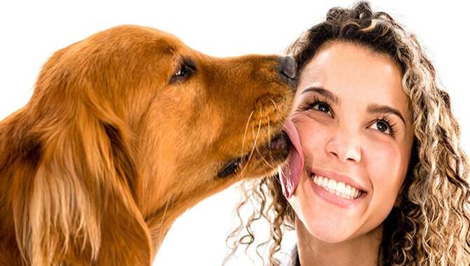 The Licking Process Is Calming For Dogs.