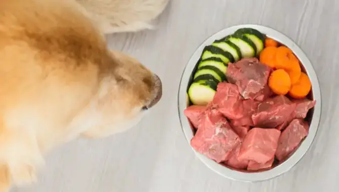 Variety Of Raw Meals To Feed Your Dog