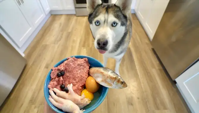 What Are The Different Types Of Food That A Husky Puppy Should Eat?