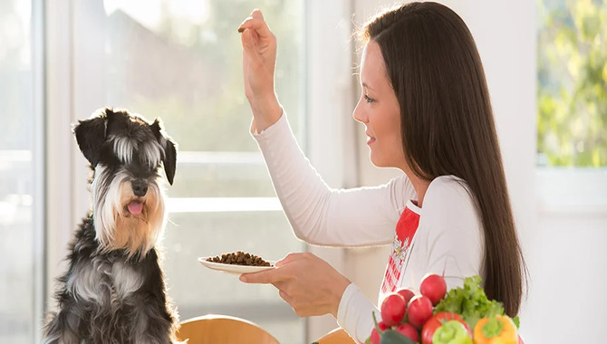 are carrots good for a standard schnauzer