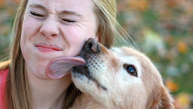 Why Do Dogs Lick Humans