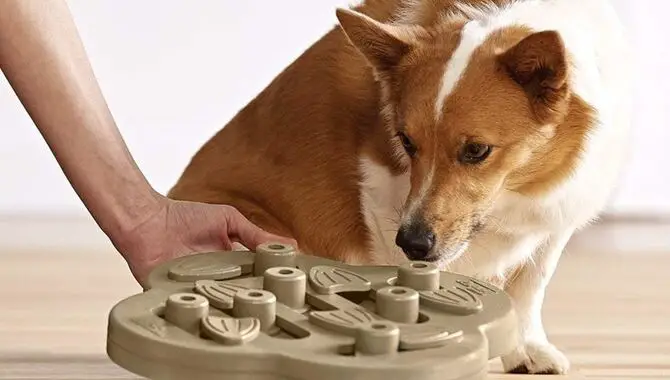 Your Dog Is Busy