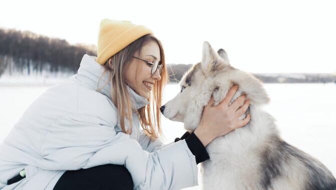 7 Reasons Why Your Husky Stares At You