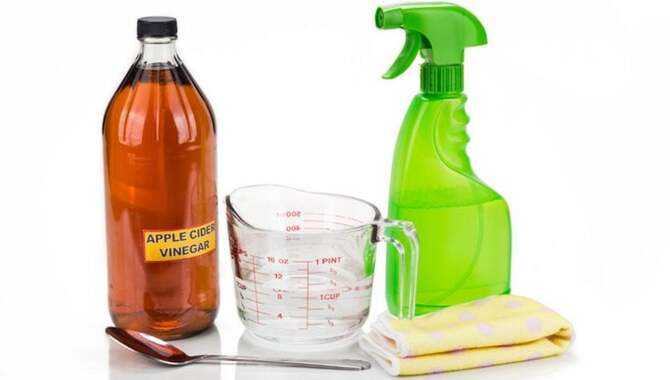 Apple Cider Vinegar And Salt Flea Spray
