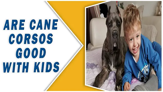 Are Cane Corsos Good With Kids