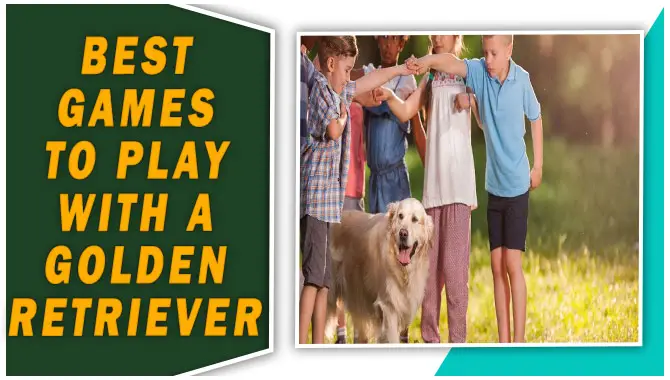Best Games To Play With A Golden Retriever