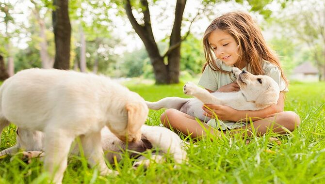 Consider How Your Puppy Interacts With People