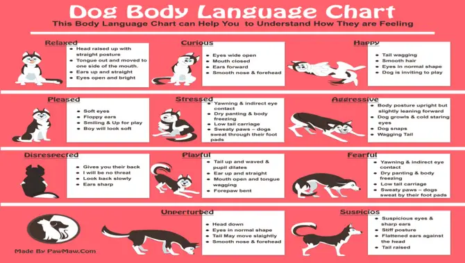 Excellent Readers Of Body language
