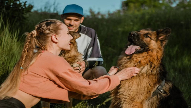 Familiarize Your Dog With Security Procedures