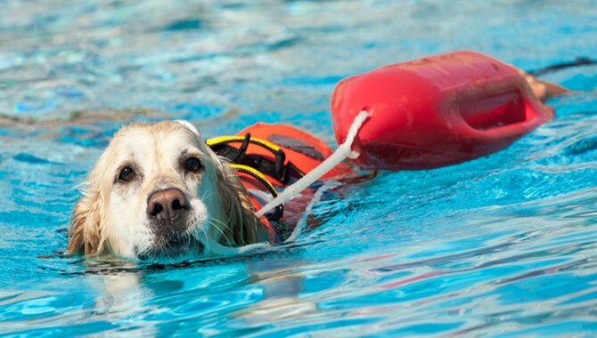 Give Them A Life Vest