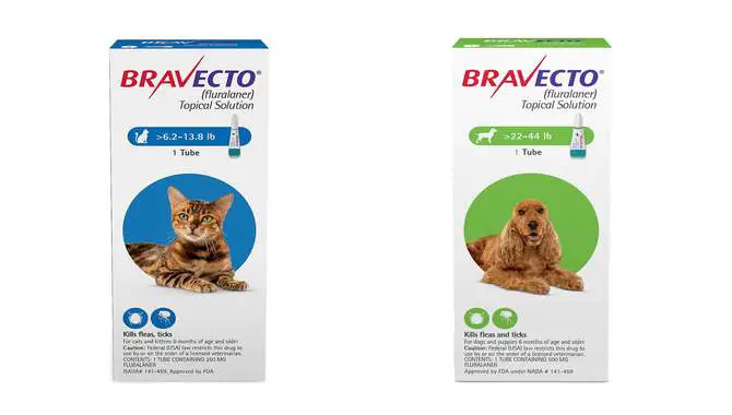 How Bravecto Works Against Fleas And Ticks