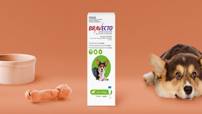 How Does Bravecto Kill Fleas And Ticks