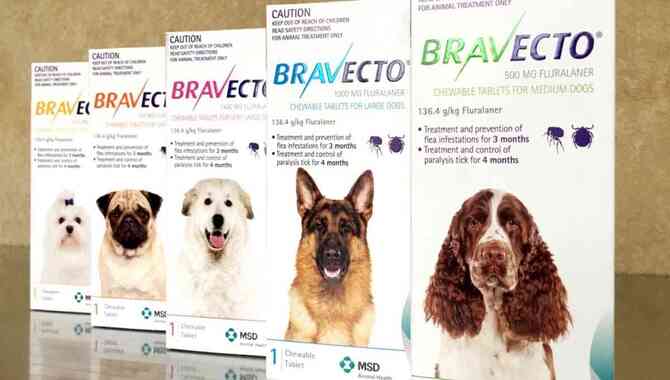 Is Bravecto Safe For Your Dog