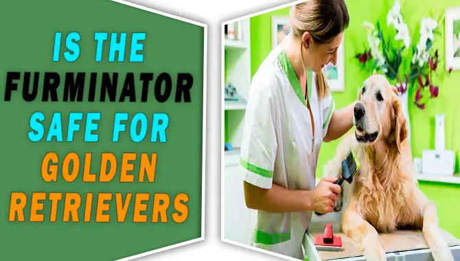 Is the FURminator Safe for Golden Retrievers