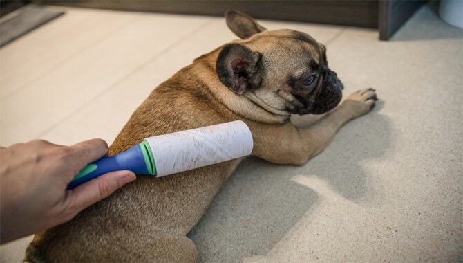 Keep A Lint Roller On Hand