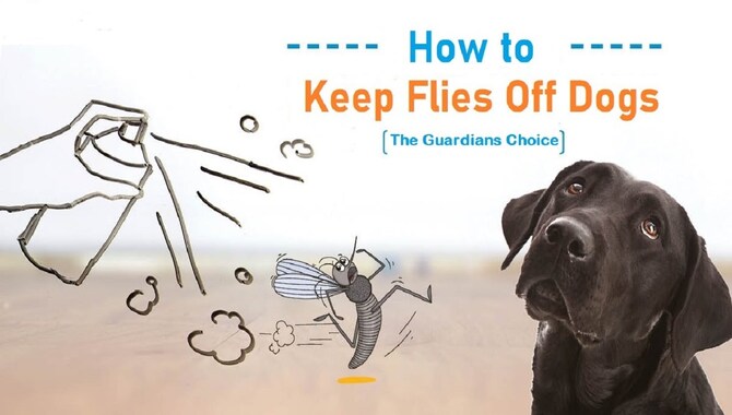 Prevent Your Dog From Eating Flies