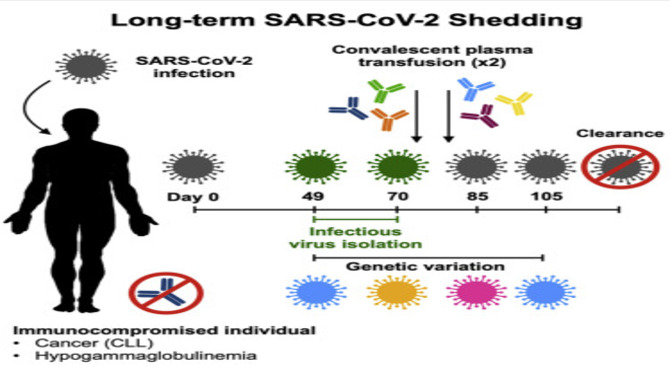 Shedding Because Of Disease