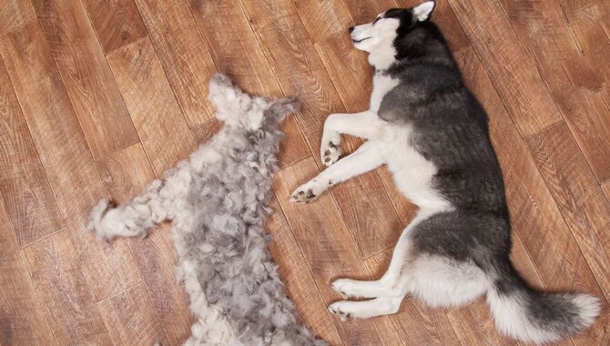 Shedding